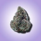 gary payton THCA flower