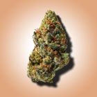 ghost train haze THCA flower