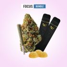 Focus Bundle
