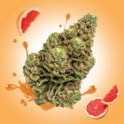 Super Boof THCA Flower