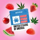 zkittlez gummies