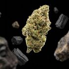 Cadillac Rainbow THCA Flower