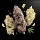 Fresh THCa Flower Bundle