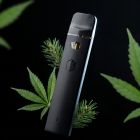 jack herer vape