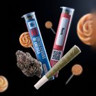Runtz Pre-roll 1g