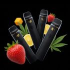 Sativa Live Rosin THCa Vape Bundle
