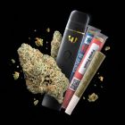 Starter Bundle