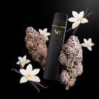 Vanilla Bundle