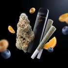 Medium Potency Bundle