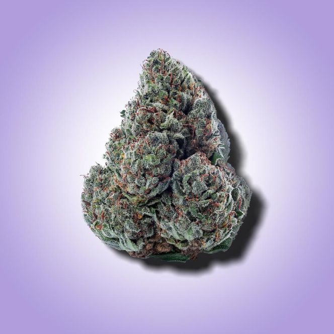 gary payton THCA flower