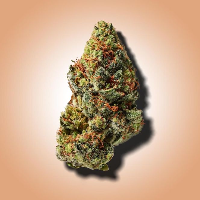 ghost train haze THCA flower