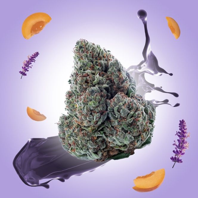 gary payton THCA flower