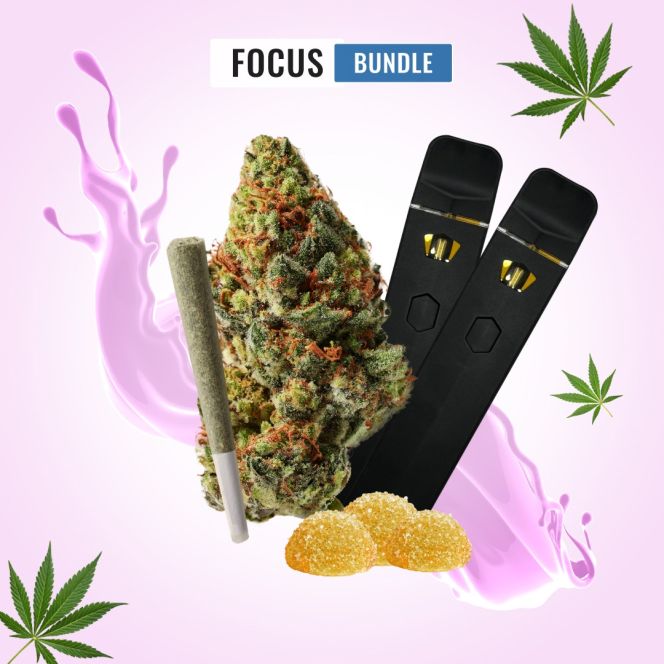 Focus Bundle