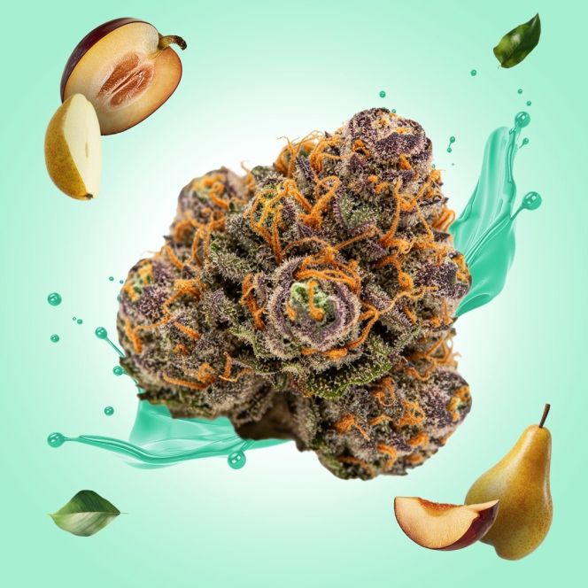 Glitter Bomb THCA Flower