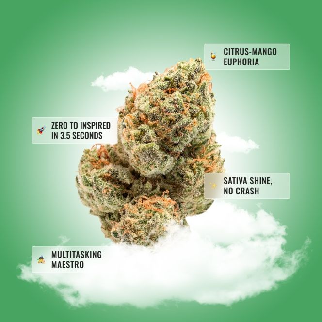 Green Crack THCA Flower