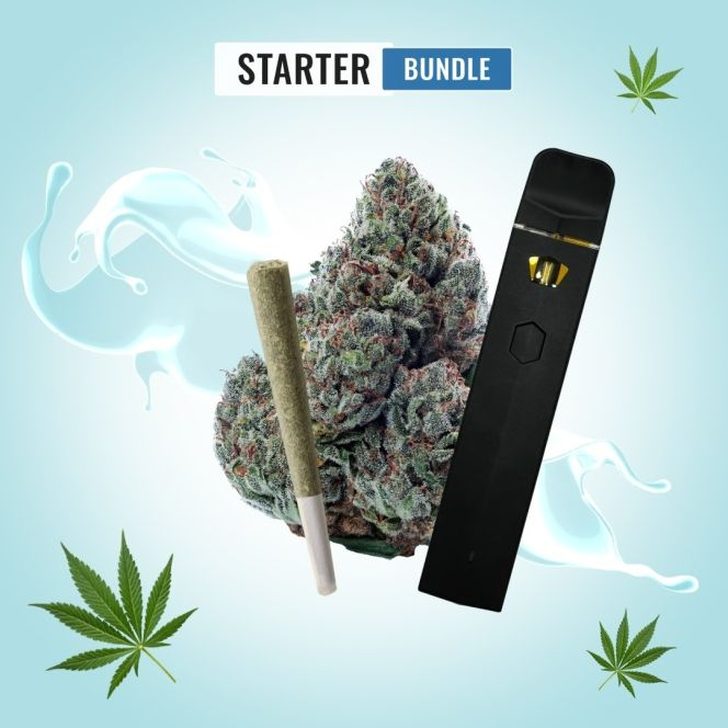 Starter Bundle