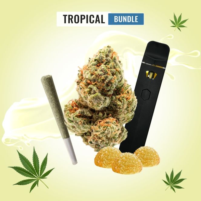 Tropical Bundle