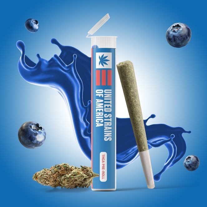 Blueberry Kush Pre-roll 1g