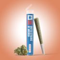 runtz preroll