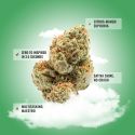 Green Crack THCA Flower