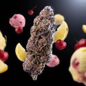 Lemon Cherry Gelato THCA Flower