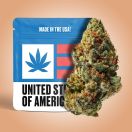 ghost train haze THCA flower
