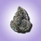 gary payton THCA flower